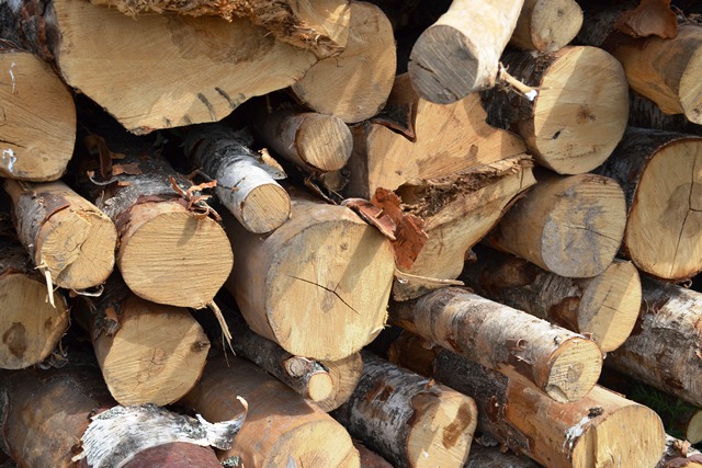 дрова в чурбаках  в Сергиево-Посадском районе
